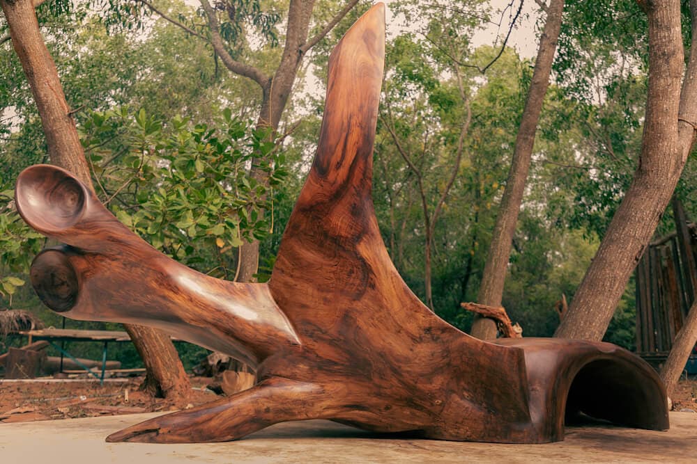 Cosmic Turtle - Image 1