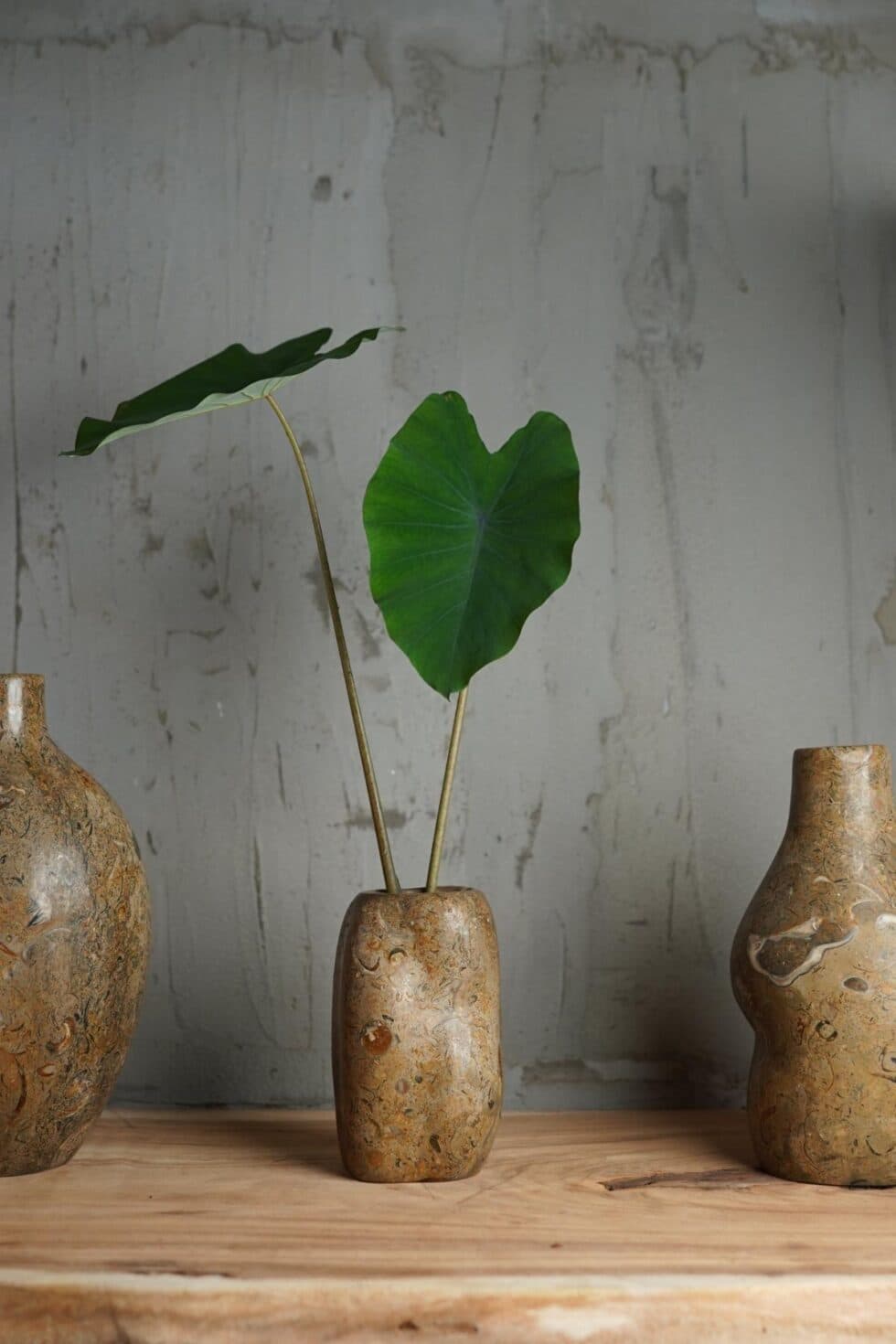 Biomorphic Vases: Where Function Meets Organic Beauty